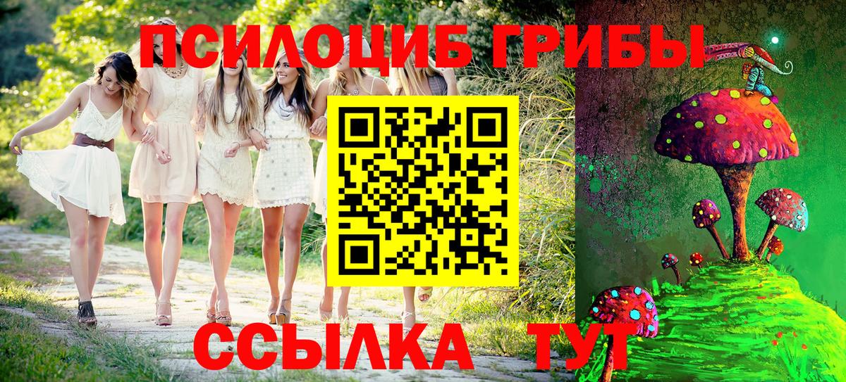 Галлюциногенные грибы мицелий  Вход с VPN  цена   Тихорецк 